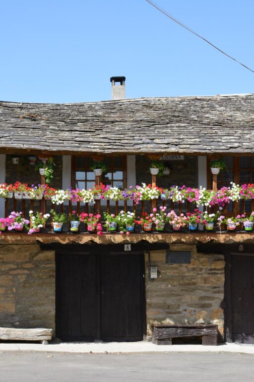 Fotógrafo: David Álvarez Cárcamo