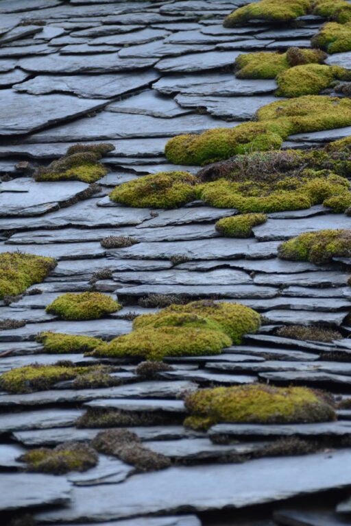 Fotógrafo: David Álvarez Cárcamo